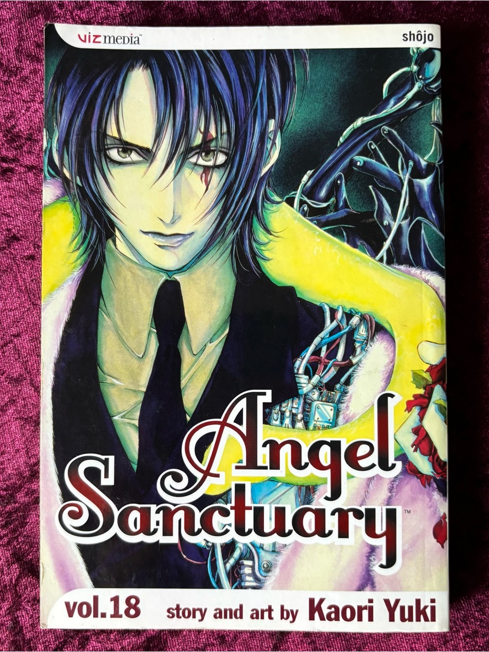 Angel Sanctuary Vol. 18 Manga - Kaori Yuki
